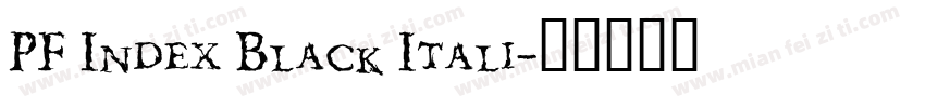 PF Index Black Itali字体转换